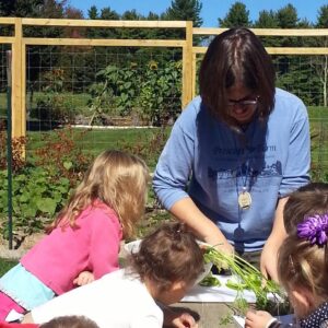 Food from Organic Garden