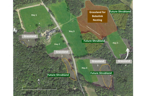 Forest Management Map of Prescott Farm