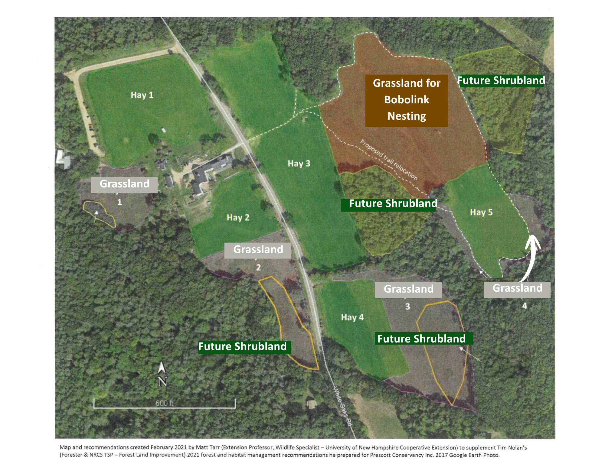 Forest Management Map of Prescott Farm